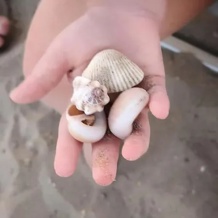 Italiana
